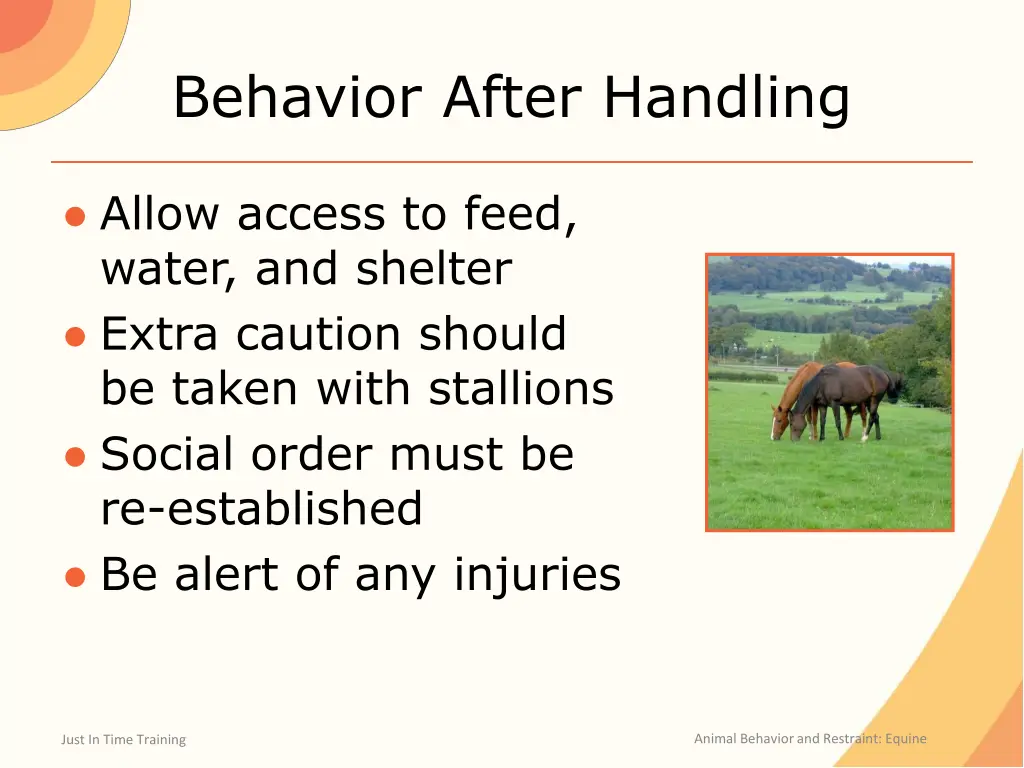 behavior after handling