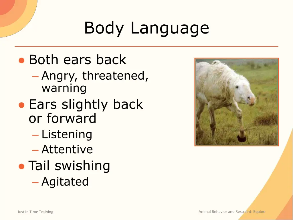 body language