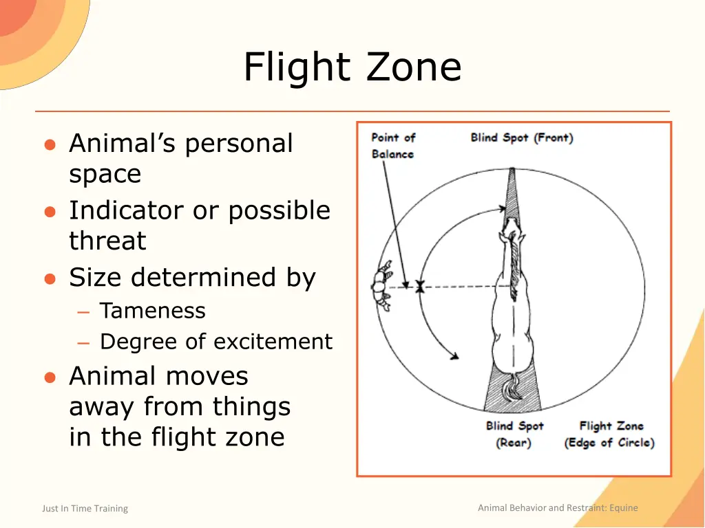 flight zone