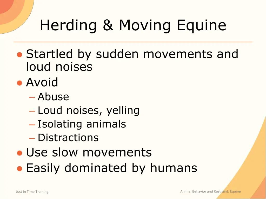 herding moving equine