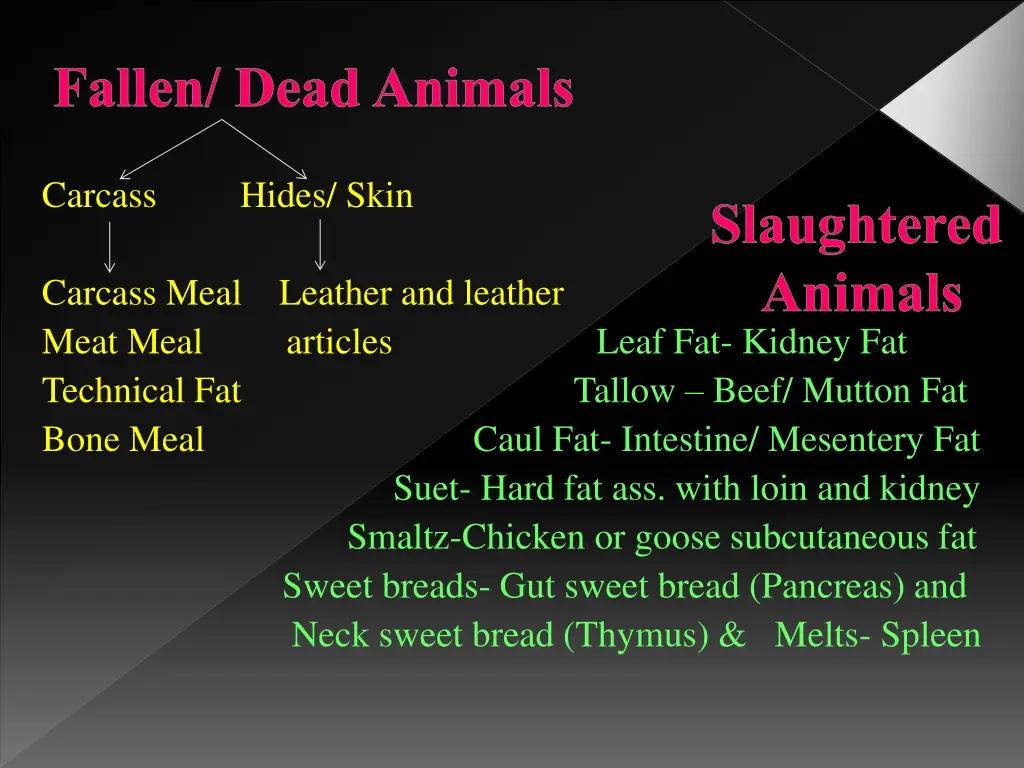 fallen dead animals