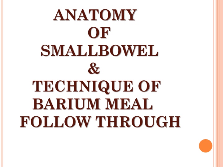 anatomy of smallbowel technique of barium meal