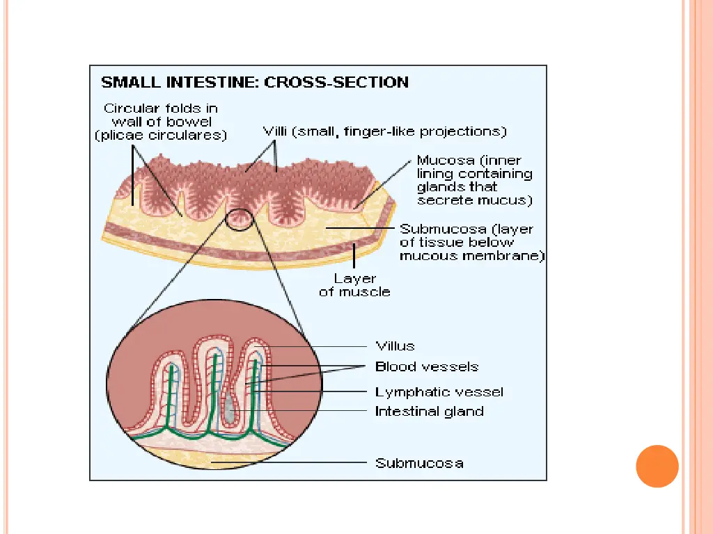 slide11