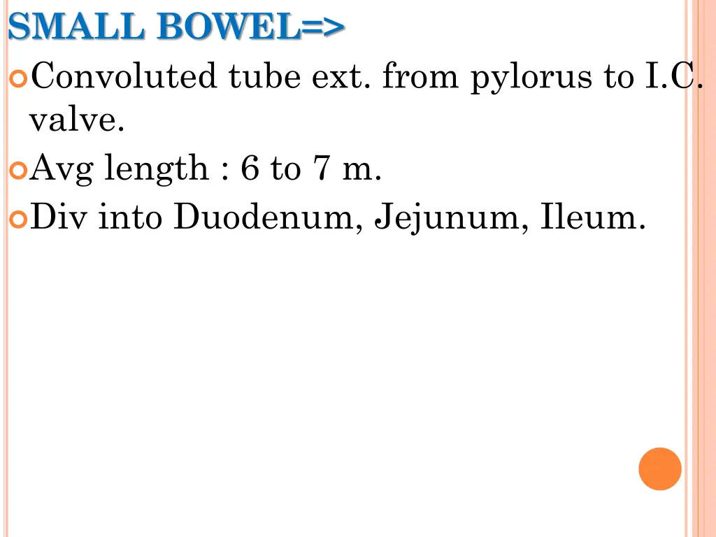 small bowel convoluted tube ext from pylorus