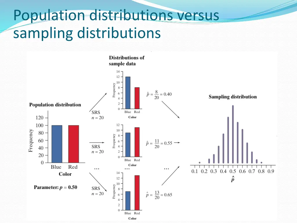 population distributions versus sampling