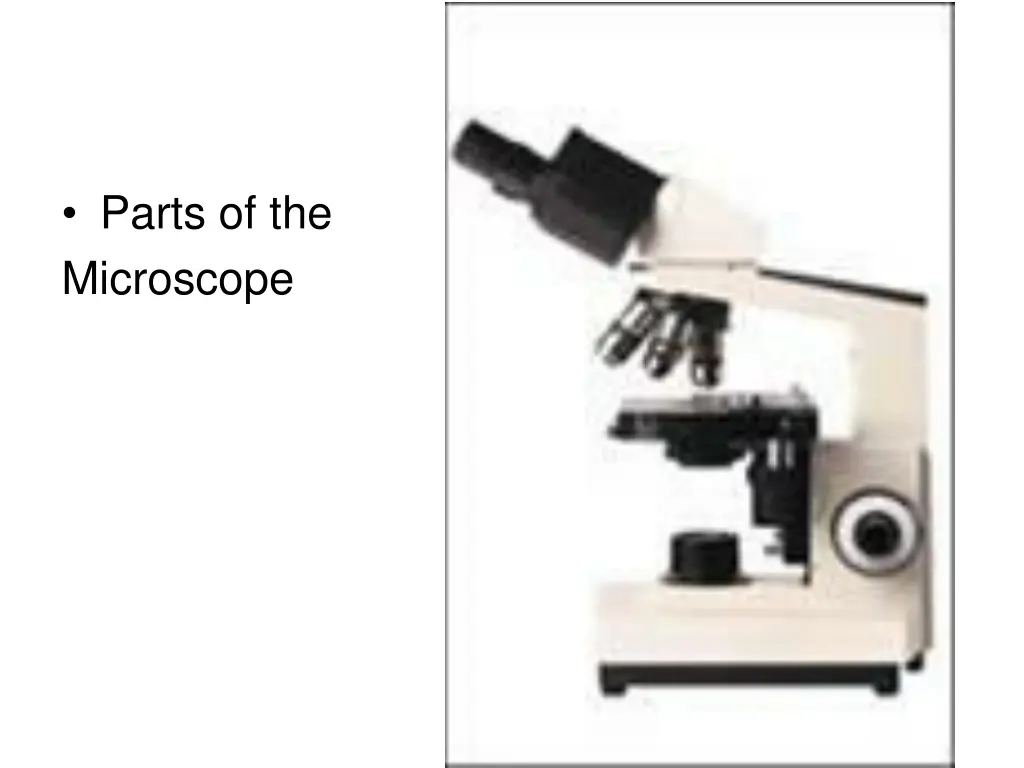 parts of the microscope