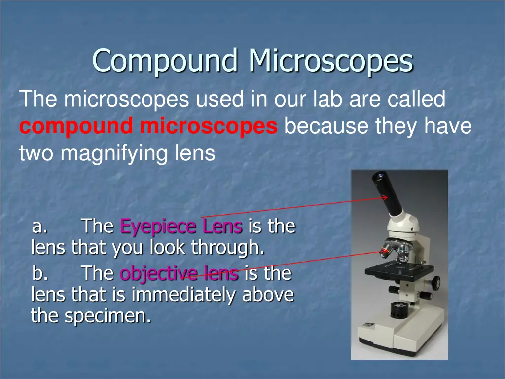 compound microscopes the microscopes used