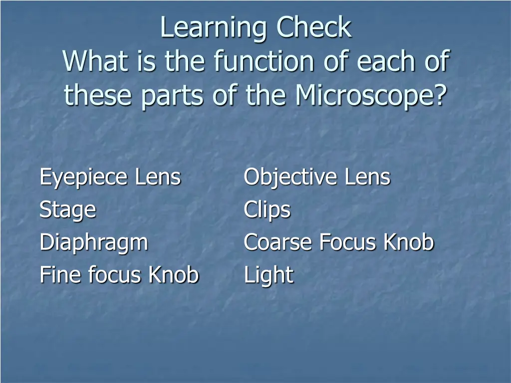 learning check 1