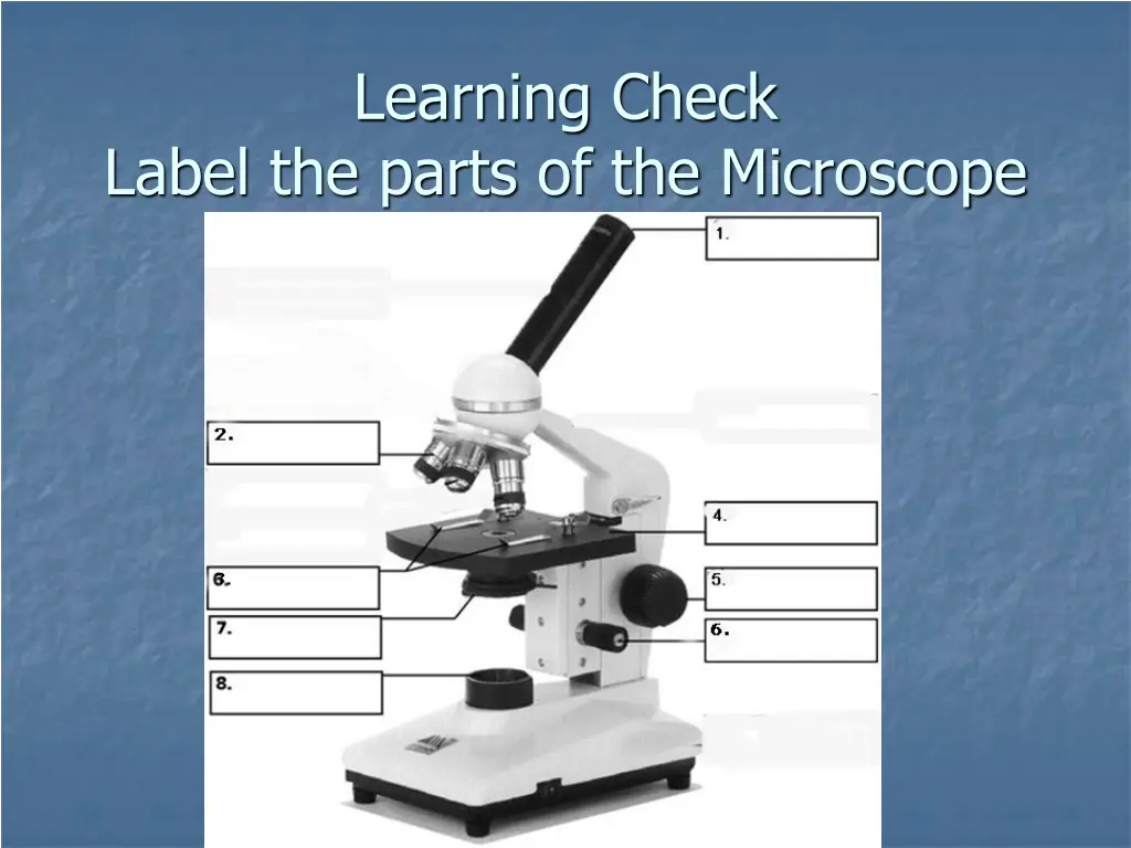 learning check