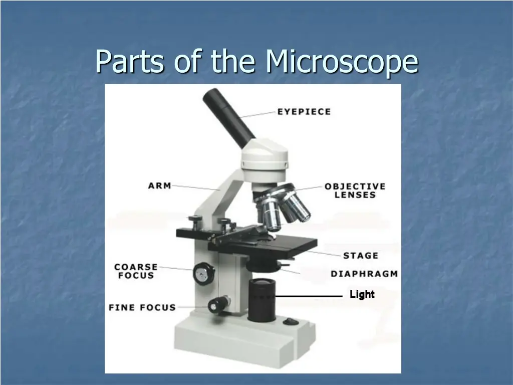 parts of the microscope