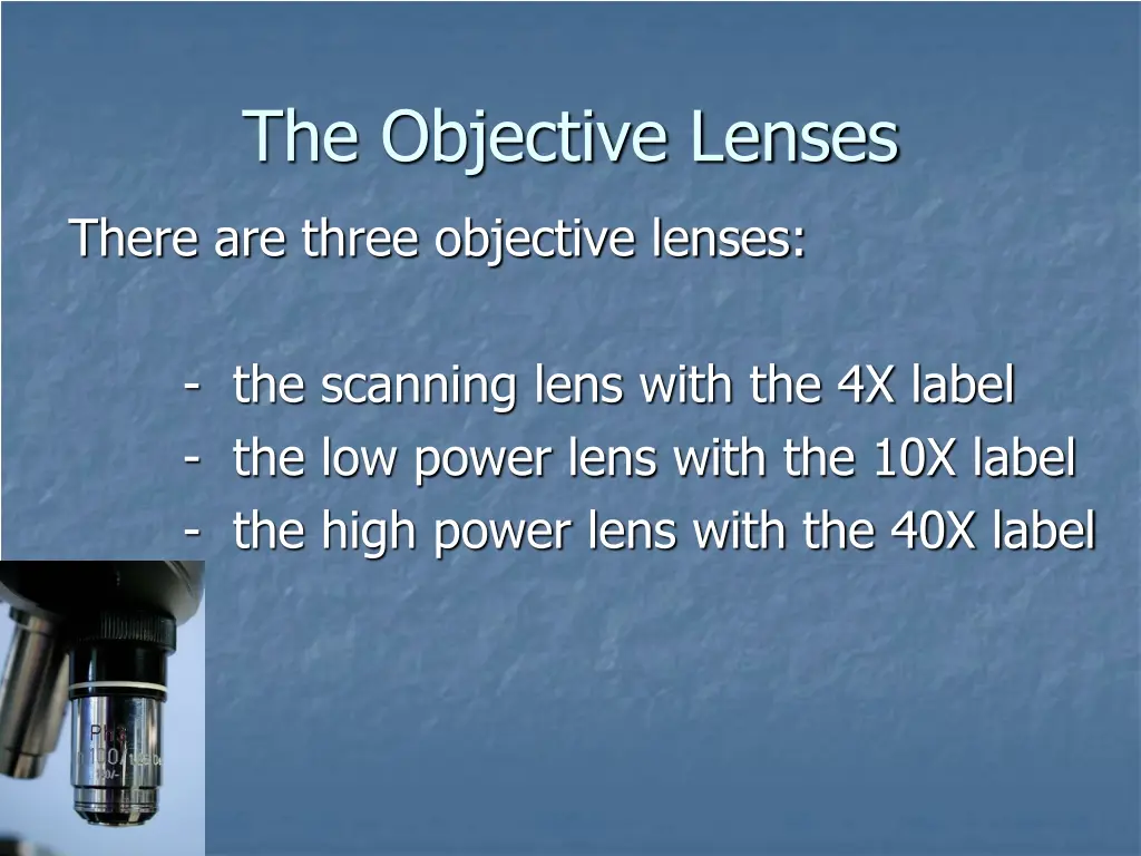 the objective lenses