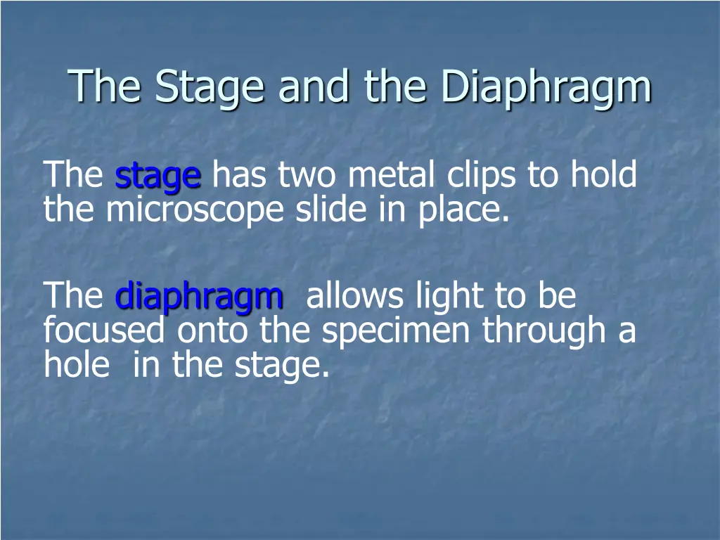 the stage and the diaphragm