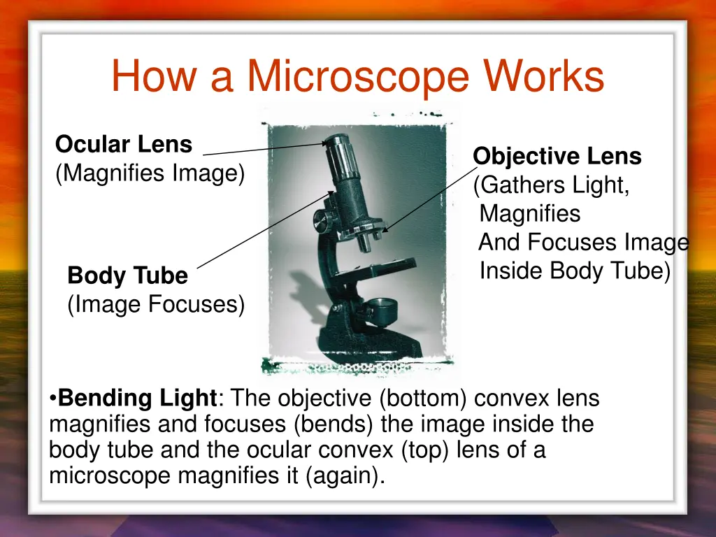 how a microscope works 1