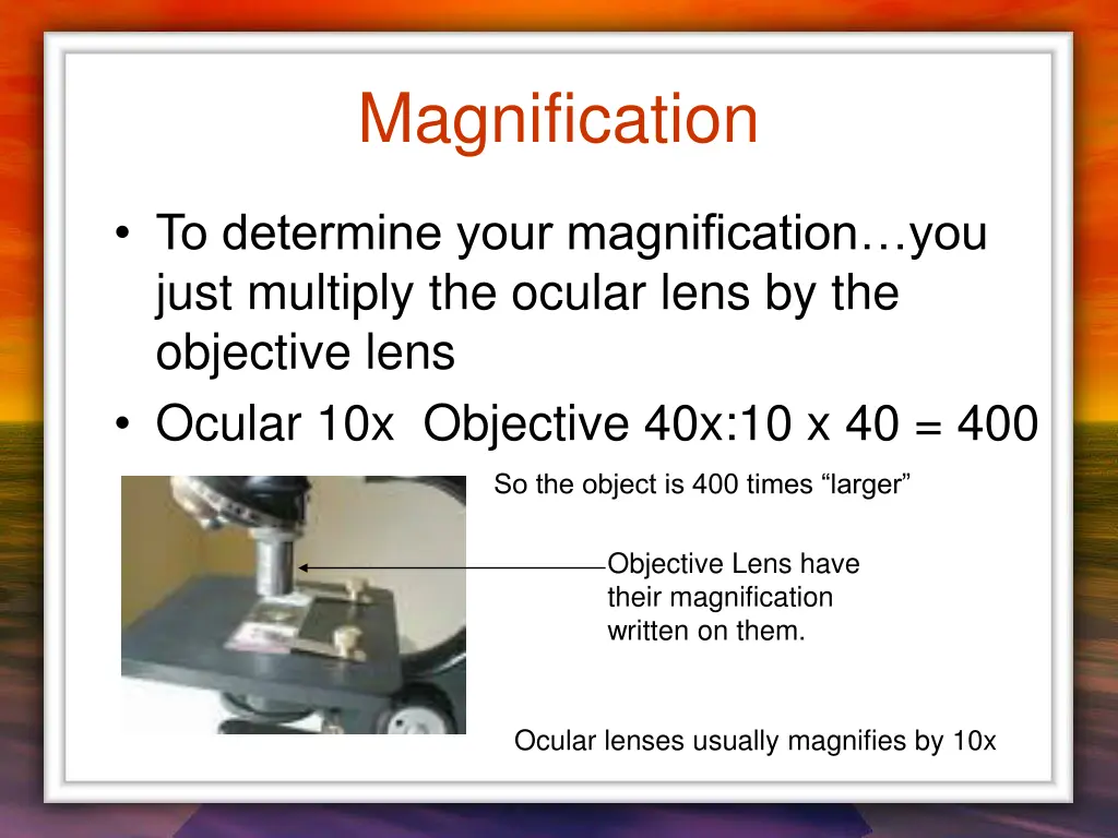 magnification 1