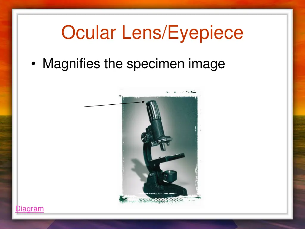 ocular lens eyepiece