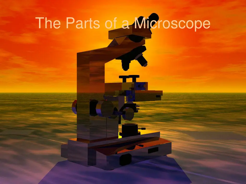 the parts of a microscope