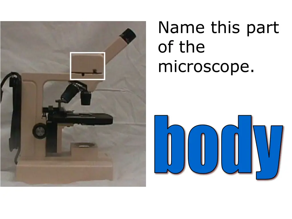 name this part of the microscope 1