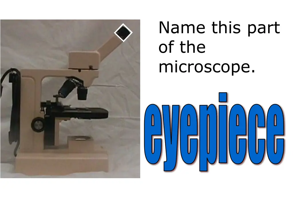 name this part of the microscope 2