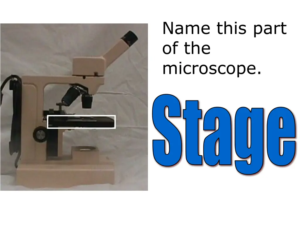 name this part of the microscope 3