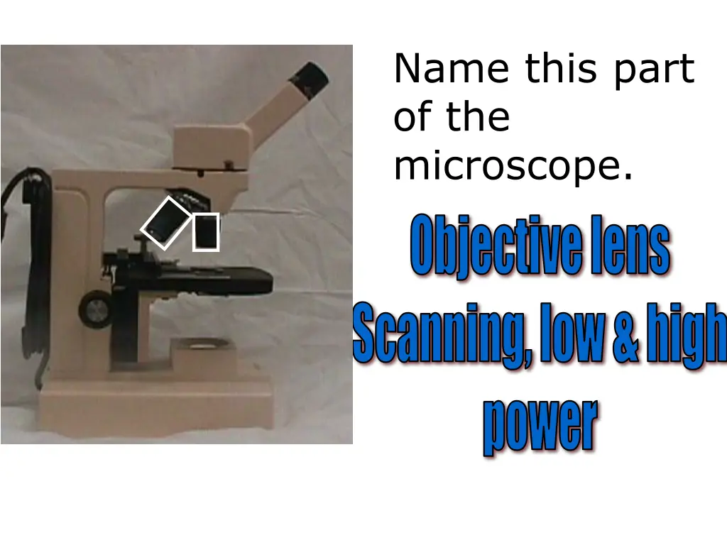 name this part of the microscope 4