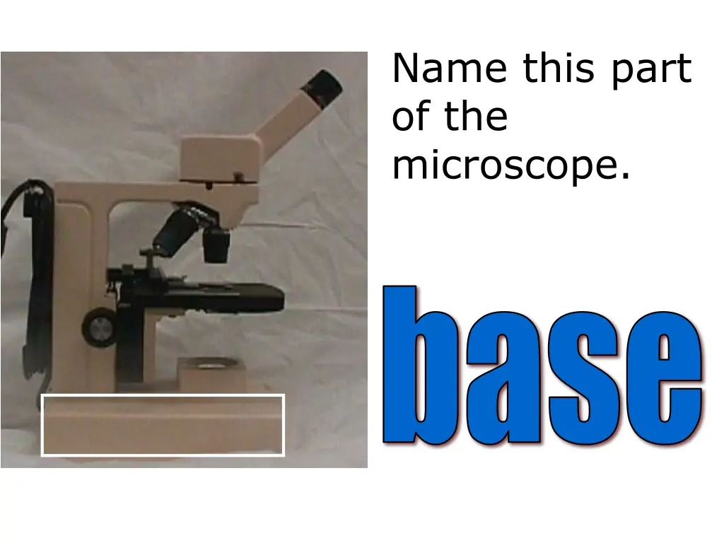 name this part of the microscope 5