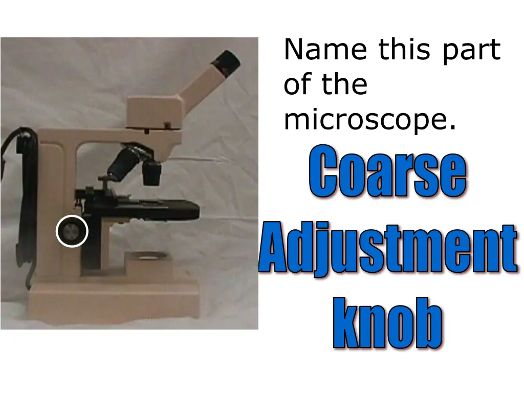 name this part of the microscope coarse adjustment 1