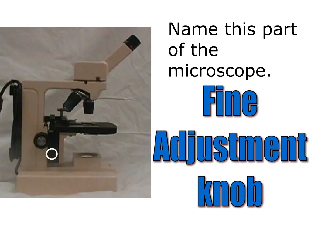 name this part of the microscope fine adjustment