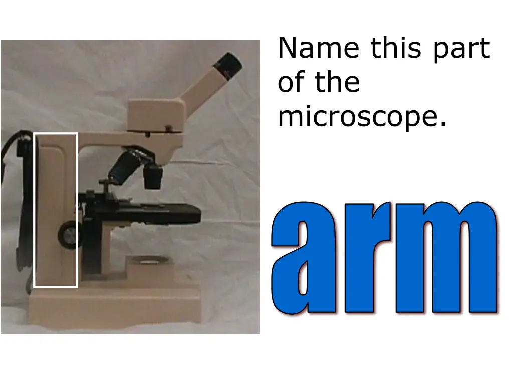 name this part of the microscope