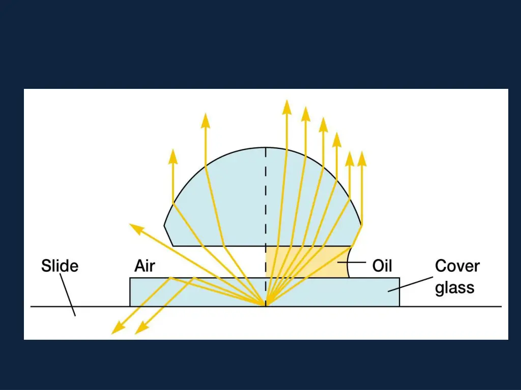 slide15