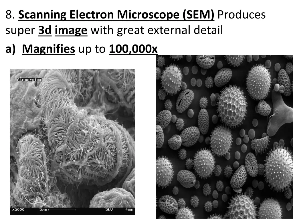 8 scanning electron microscope sem produces super