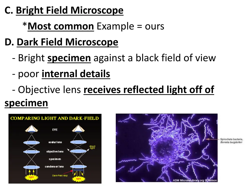 c bright field microscope most common example