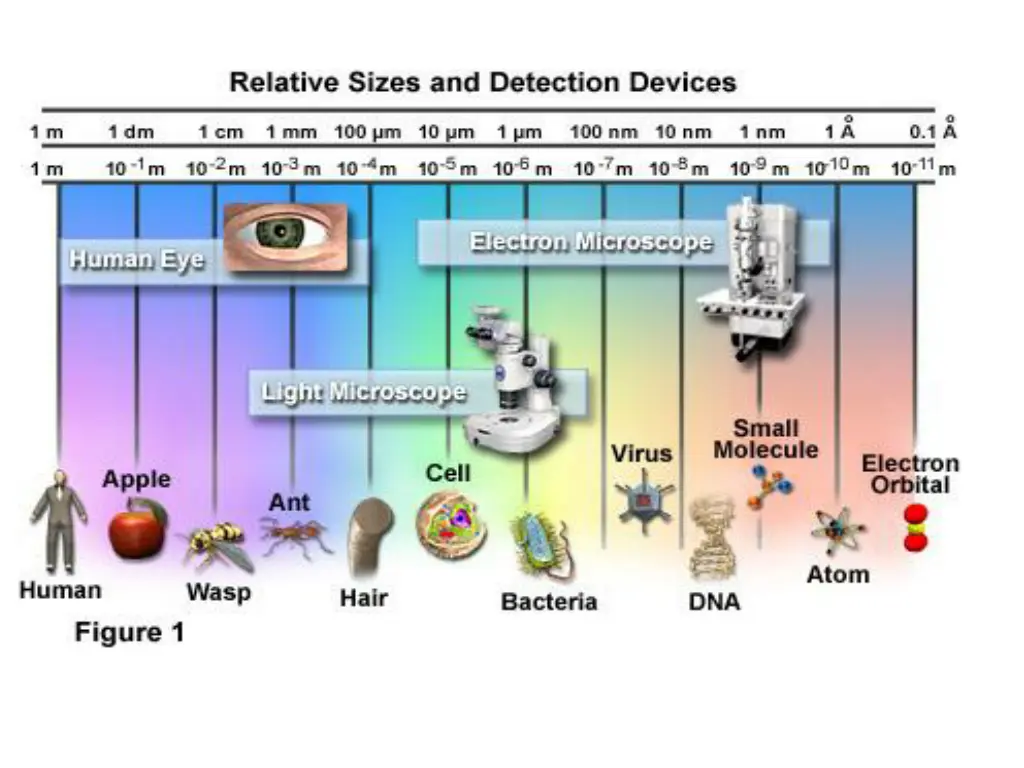 slide11