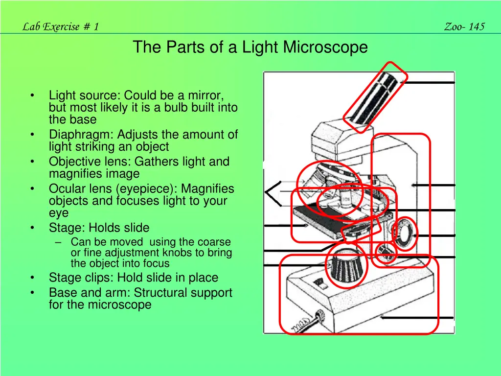 lab exercise 1 10