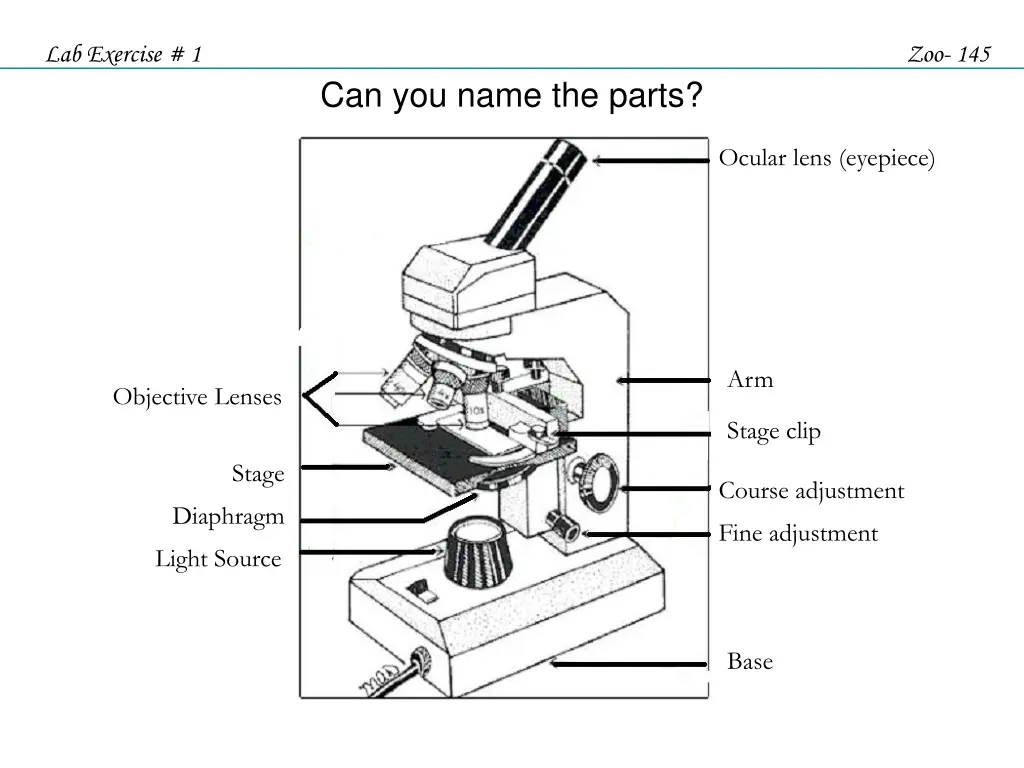 lab exercise 1 11