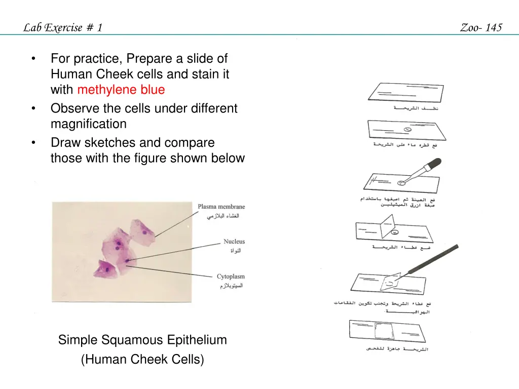 lab exercise 1 14