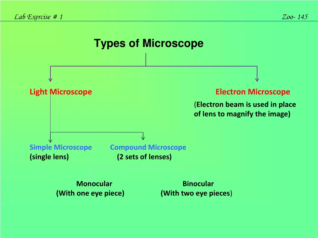 lab exercise 1 3