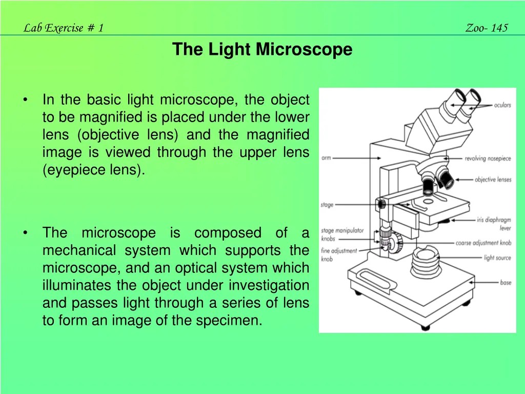 lab exercise 1 4