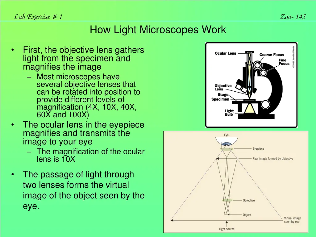 lab exercise 1 7