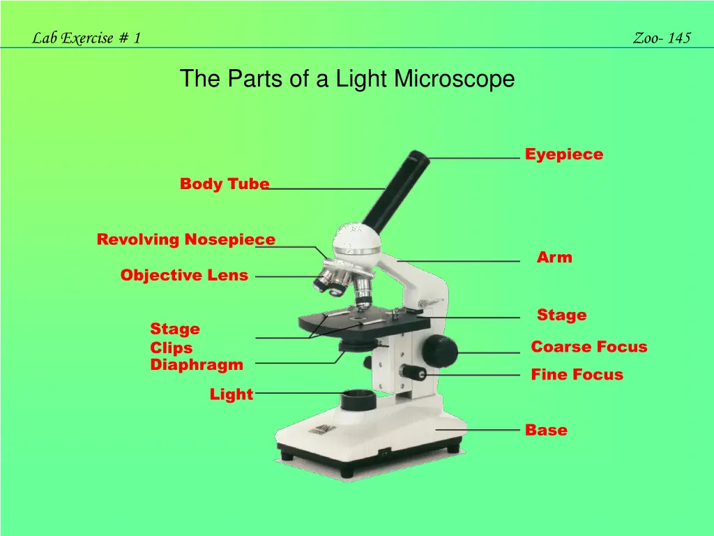 lab exercise 1 9