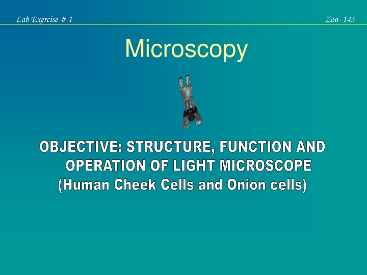 lab exercise 1