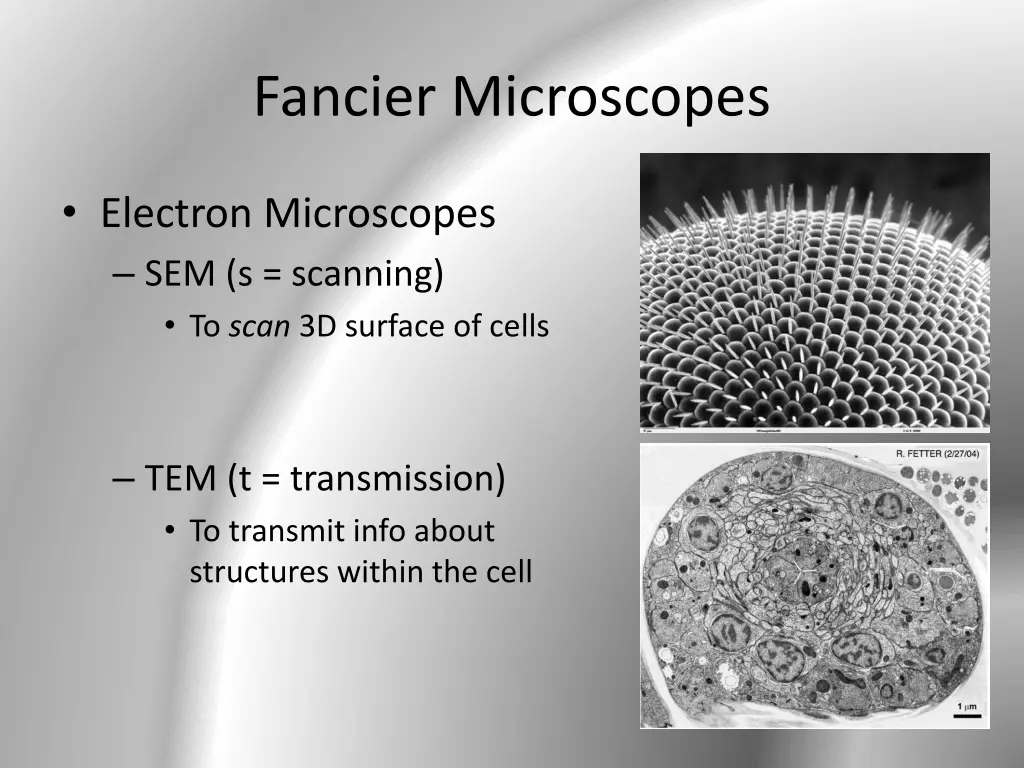 fancier microscopes