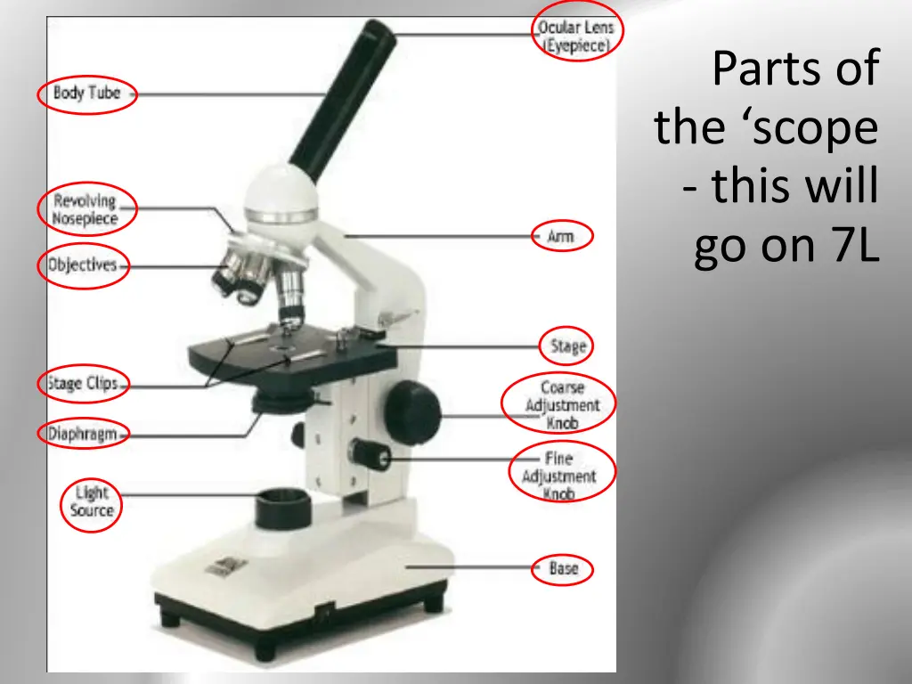 parts of the scope this will go on 7l 1