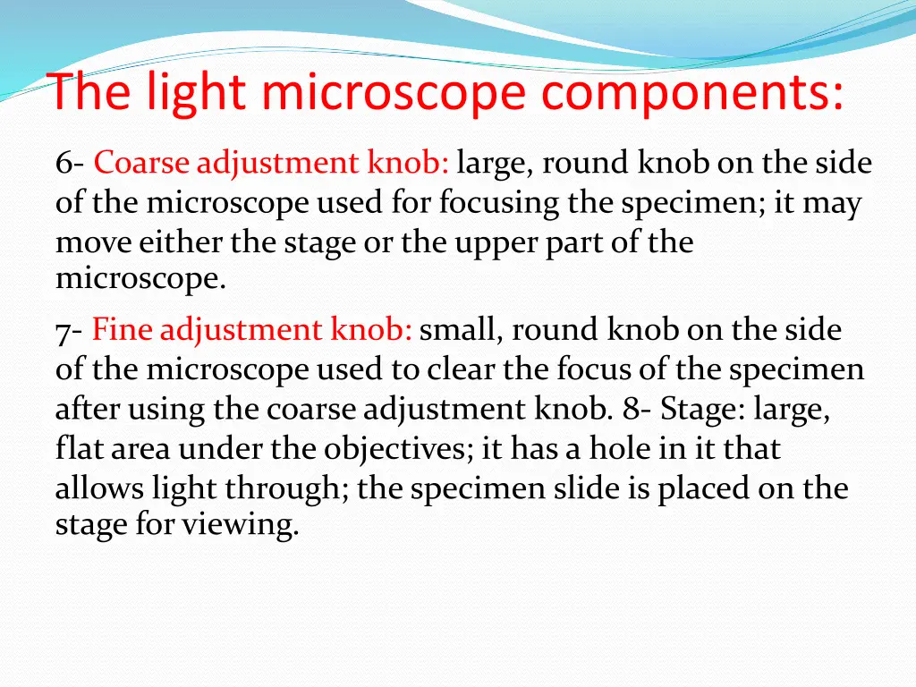 the light microscope components 1