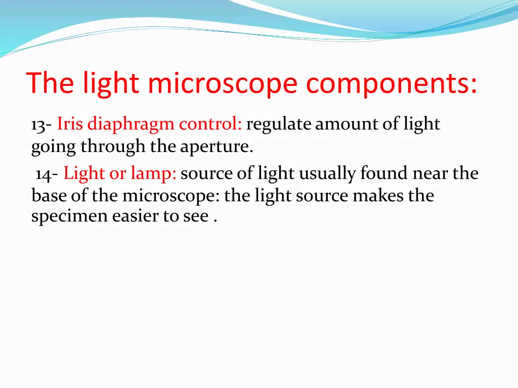 the light microscope components 3