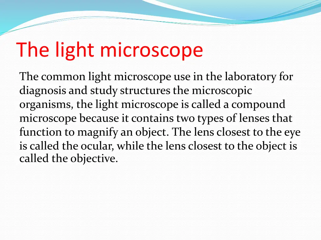 the light microscope