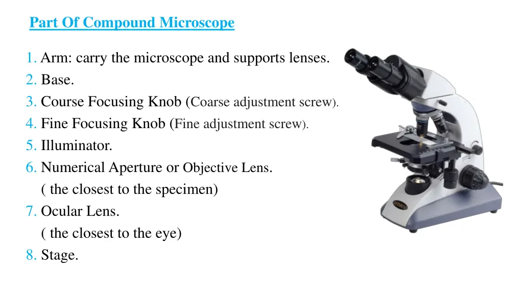 part of compound microscope