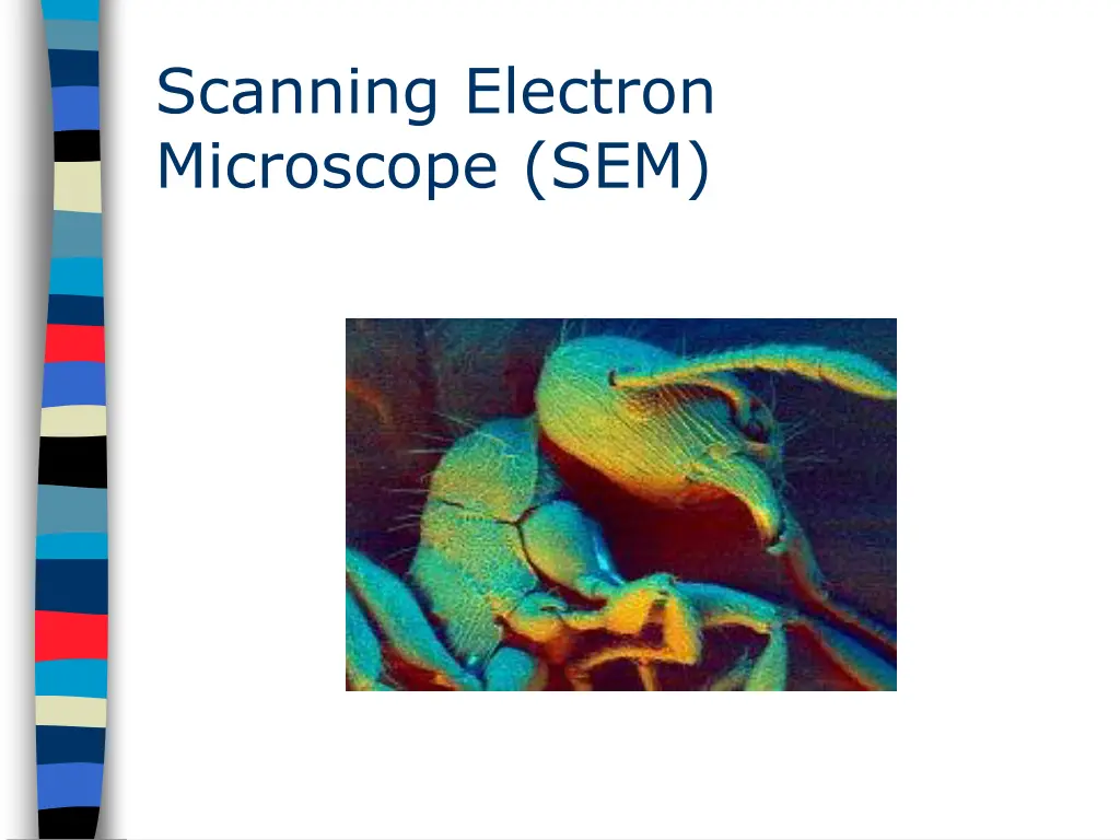 scanning electron microscope sem 2