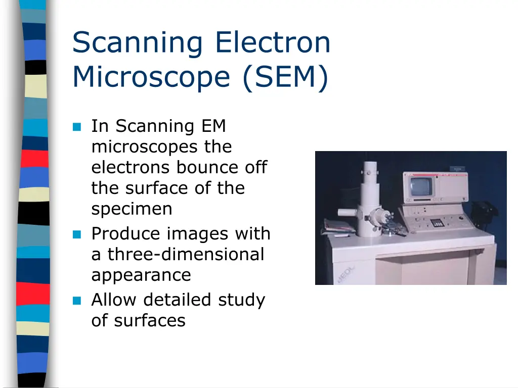 scanning electron microscope sem