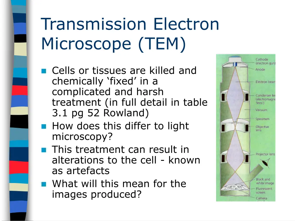 transmission electron microscope tem 1