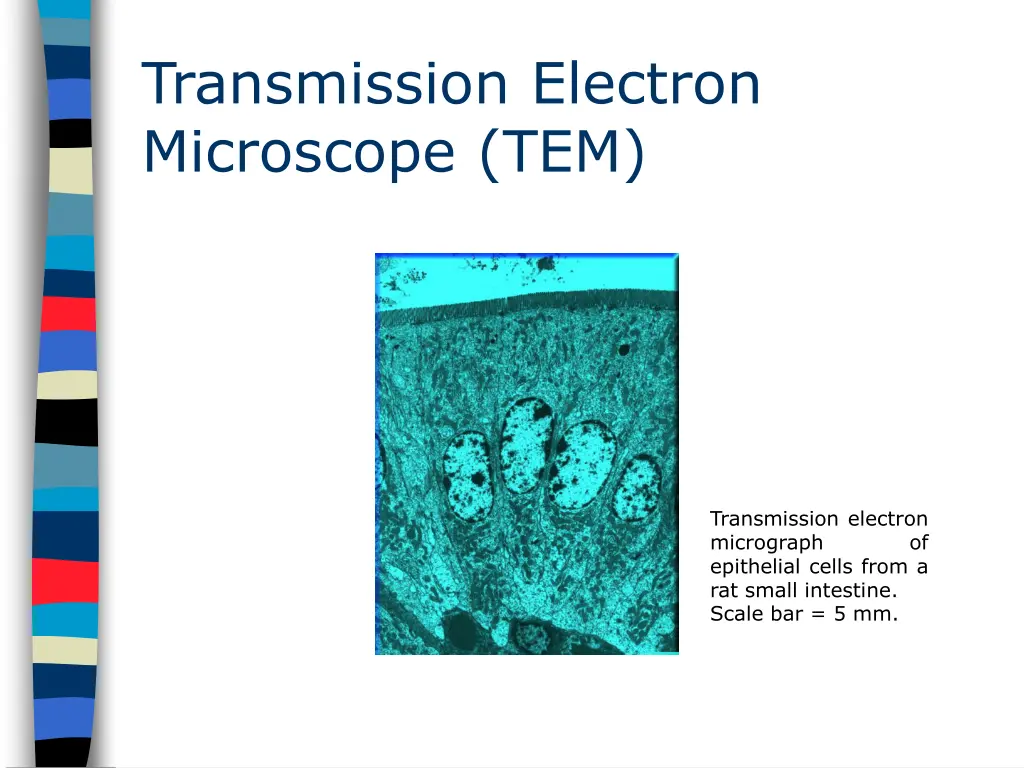 transmission electron microscope tem 2